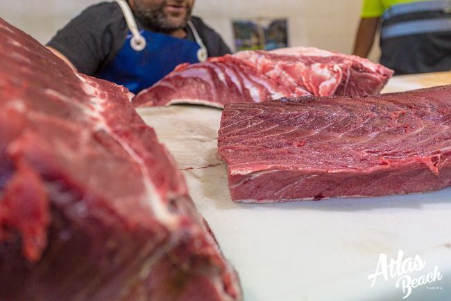 atun rojo de almadraba